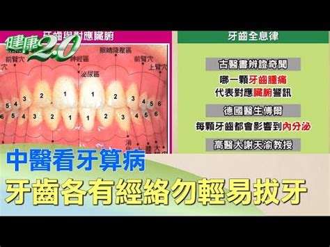 牙齒經絡圖|改善牙齒痛經絡拍打、穴道按摩刮痧養生法！